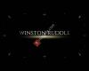 Winston Ruddle - African Artiste Entertainment Management