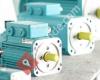 Wittur Electric Drives GmbH