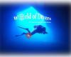 World of Divers Nettetal