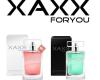 XAXX Parfum